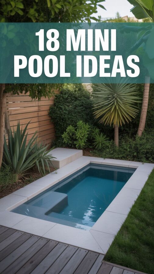 Options piscine 5x2