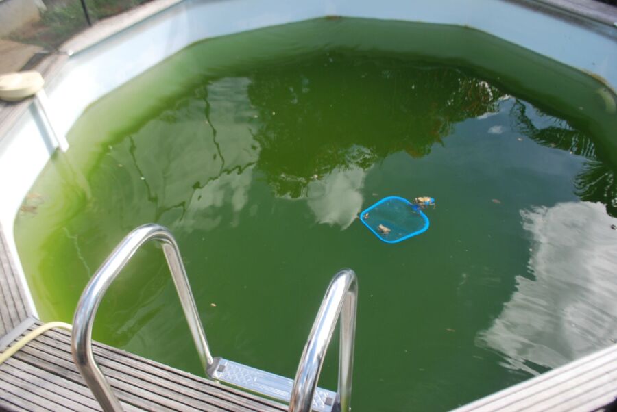 Entretien piscine au sel