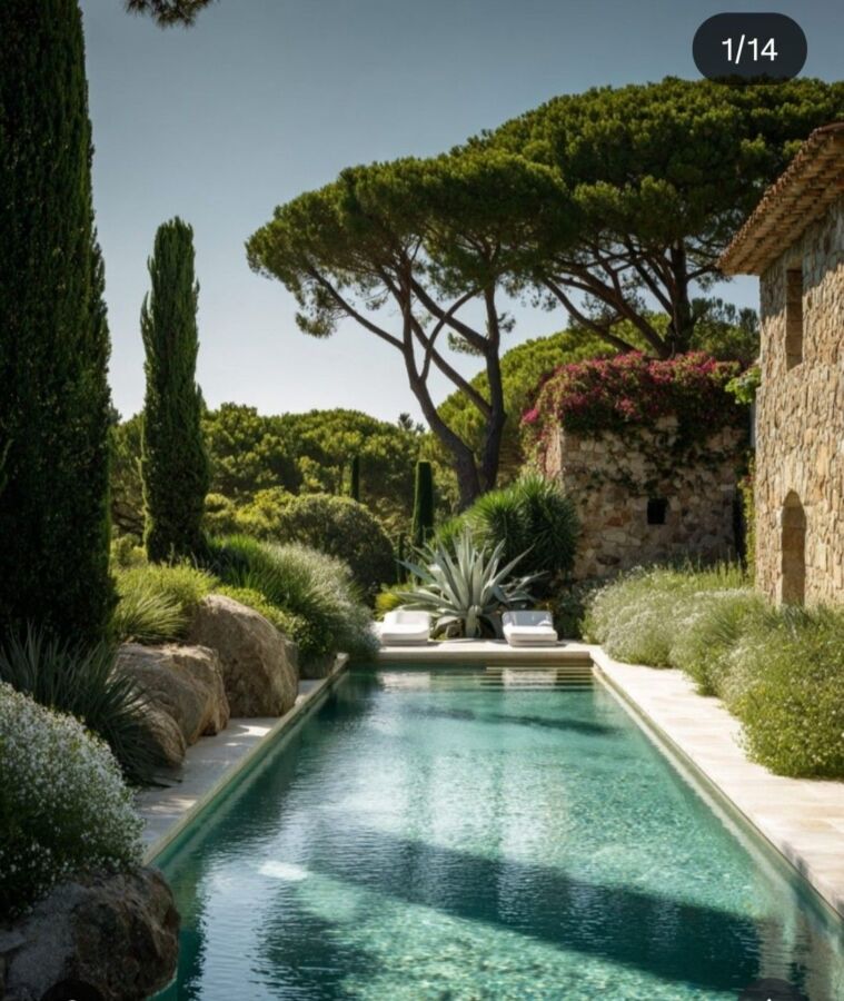 Remède piscine eau verte