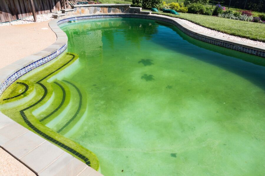 Traitement eau verte piscine