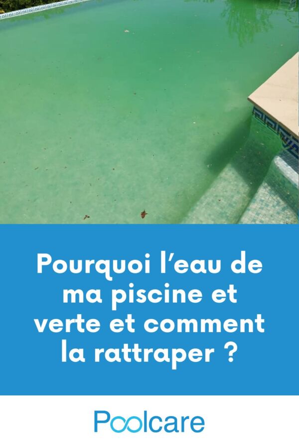 Éliminer algues piscine