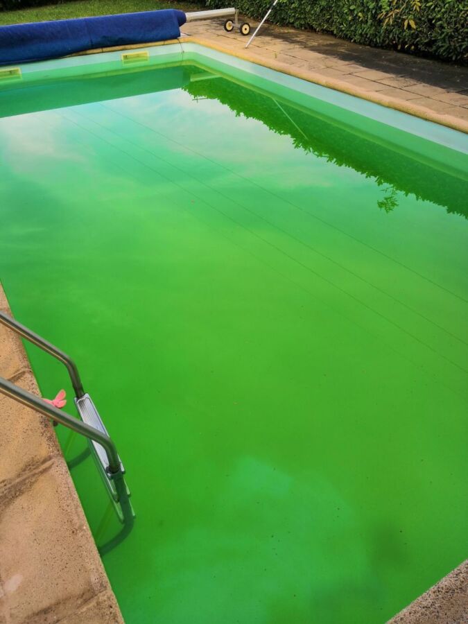 Piscine eau verte solution
