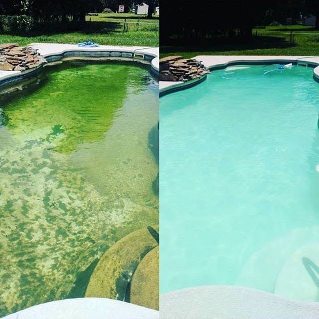 Éliminer algues piscine